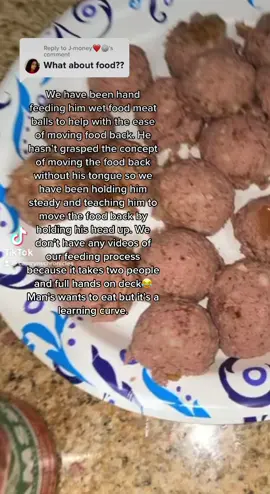 How Tobi has been eating #dogsoftiktok #viral #dogsoftiktokviral #dogparentsoftiktok #dogparents #huskysoftiktok #pitbullsoftiktok #pitskysoftiktok #fyp #foryou #eating #foodtiktok #DIY #veterinary #vettechlife #vettechtok #vettechsoftiktok #veterinarylife #vetlife #glossectomy #tonguetok #surgerytiktok #healingtiktok #furbaby