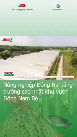 Nông nghiệp Đồng Nai tăng trưởng cao nhất khu vực Đông Nam Bộ #nongnghiep #dongnai #dongnambo @baonongnghiepvietnam