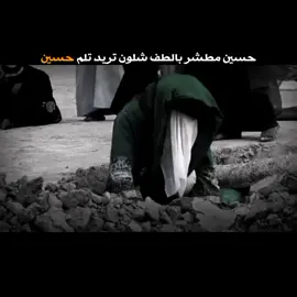 اخر عبارة نسخته…. 💔🥺#ستوريات #دفن_الامام_الحسين #الطف #الدعوة_العلنية #محرم