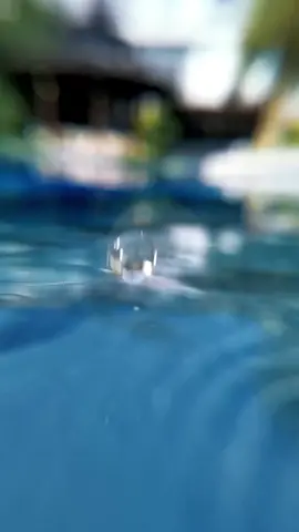 The raindrops hit the water and splashed white flowers with rhythmic melody #rain #healing #soundhealingtherapy #rainsleepsounds #relaxsoundofsleep #waterdrops #soundhealing