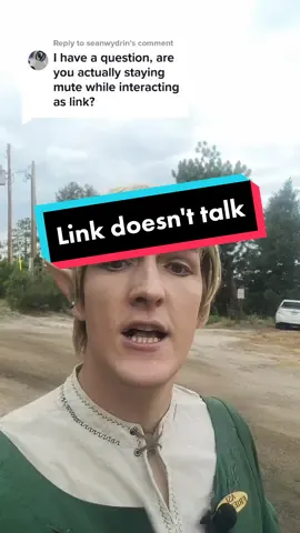 Replying to @seanwydrin I think there's a lot of reasons to play Link as a mute character. #link #heroofmime #renaissancefestival #legendofzelda