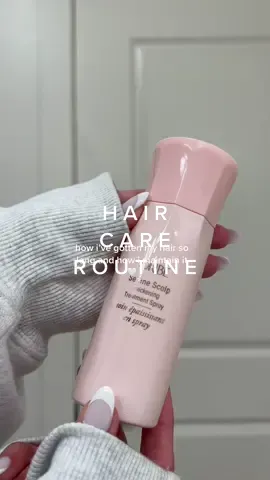 finally.. my HIGHLY requested hair care routine!! #fyp #foryoupage #thatgirl #aesthetic #SelfCare #haircare #routine #satisfying #aestheticroutine #haircareroutine