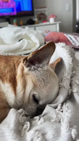 Coworker always napping🥹