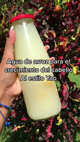 Una forma diferente de hacer el agua de arroz 🍚💦 cualquier duda, comenta!🤗#aguadearroz #crecimientodelcabello #cabellolargo #cabellosano #aguadearrozparaelpelo #viral #venezuela