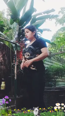 #...Em tin Anh nên Em khổ...!