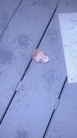 Lol