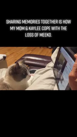 In memory of Meeko. #grief #unconditionallove