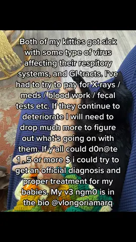 I stg my vet bills are going to give me a panic attack. I thought they were getting better #cat #mutualfund 