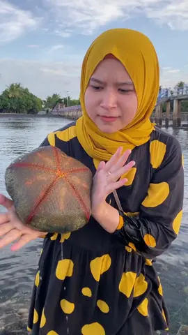 Mencari Binatang laut unik #fyp #fypシ #seafood #pantai #hewanlaut