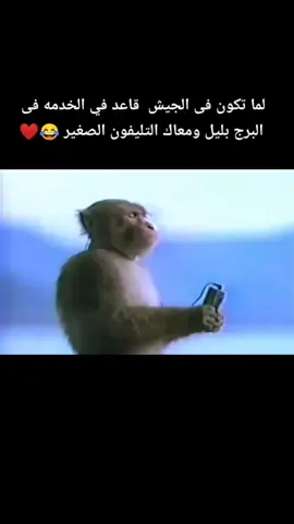 #funny #fun #friends #joke #snip #fyp #onepiece #parati بما ان صحابى داخلين الجيش 😂❤️