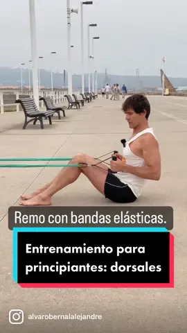 37. Remo con bandas elásticas. DORSALES. Entrenamiento de fuerza para principiantes.  #coaching #deportesalud #tenis #tenisbeginner #tenisparatodos  #tennis  #healthandfitness #healthandwellness #pickleball #pickleballislife  #resistancetraining #entrenamientofuerza #medianaedad #seniorhealth  #entrenamiento #Fitness #gym #training #gimnasio  #salud #personaltrainer #workout #coach #motivacion #ejercicio #motivation  #fitnessmotivation  #decathlon_majadahonda #decathlon