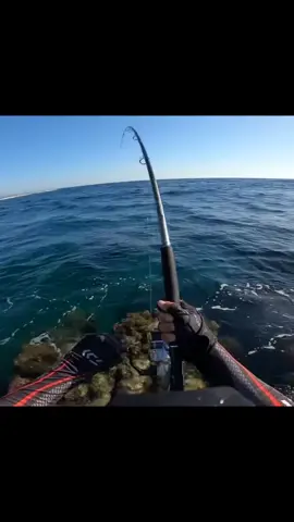 Oh no,it must be a big one !Must be!#fishing #Outdoors