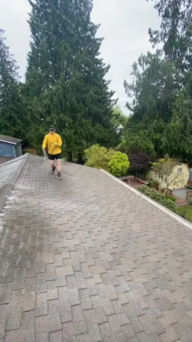 Wait for it…#roofcleaning #pressurewashing #softwashing #humor #bluecollar