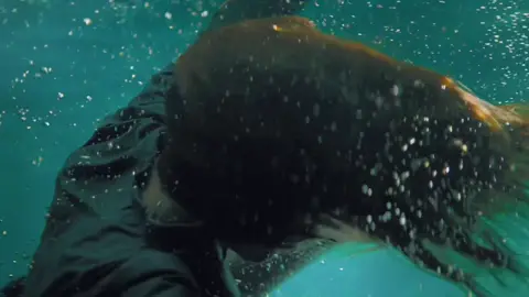 Grace Van Patten in Mayday  #gracevanpatten #edit #mayday #film