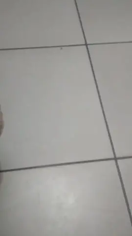 jajajaja no quería salir
