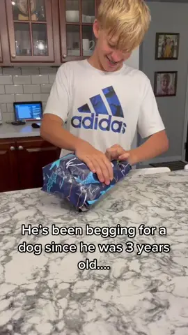 I’m not crying you are 🥹 (@cincygirl513) #viral #video #fyp #tikok #dog #pet #bestfriend