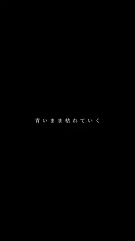 【ハッピーエンド】#backnumber #バックナンバー #ハッピーエンド #文字素材 #歌詞動画 #おすすめ