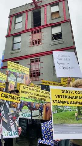 This is the concrete jail that horses return to after working all day in the busy streets of NYC. I cant imagine living like this. #horses #horsetok #horsecarriage #carriagehorse #nyc #newyorkcity #animalrights #nyclass #peta #petaprotest #vegan #veganactivist #horselover #ReTokforNature #farmedanimals #horsesoftiktok 