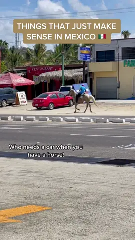Typical Monday in Mexico #onlyinmexico #thingsthatjustmakesense #movetomexico #mexicoexpat #mexicoliving #americansabroad #digitalnomadlife #mexicotiktok #mexicotravelguide 