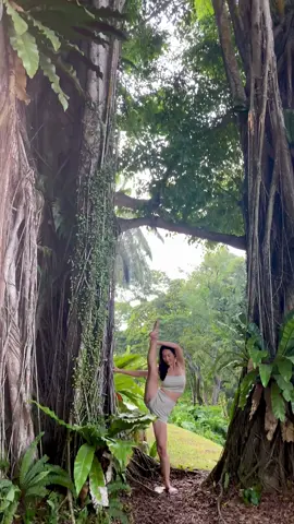 Sky above, Earth below, Peace within. 😘 The best place to find peace is in the nature.  Love nature, stay close to nature. 🌳🥰🙏🏻 Happy Tuesday everyone! 🍃🌳🍀🌿🌴🌳 Wearing @aloyoga  . . . . . . #alo #aloyoga #naturelovers #yoga #yogareel #treelovers #compasspose #yogagirl #beautifuldestinations #singaporelife #beautifultrees #yoganature #yogaoutdoors #yogainspiration #nature #beautifulplaces #yogastretch #yogavibes #yogabalance #lovenature #yogapractice #hipopener #flexibility #treelover #beautifulnature #yogagirl 