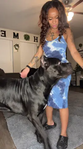 Ghost sizing me up about these past TikTok dance videos 😅 #canecorso #texas #bigdog #ReTokforNature #jokes #fyp