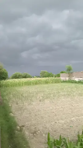 #weather #thunderstorm #nature #beauty #foryou #viral #fyp #foryoupage
