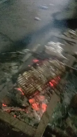 acara bakar2 bareng keluarga di malam 17san ultah yg ke 77@gusitahmutiaputri63 @masitah3051 @rostina pasbar #MenjadiIndonesia #PinterMilihTemen #tiktokpasamanbarat #bujangpalala 💪💪💪🇲🇨🇲🇨🇲🇨