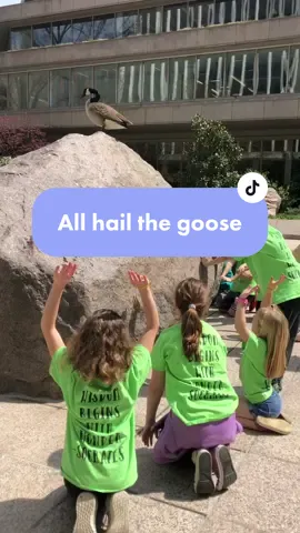 Absolutelt nothing could have prepared me for seeing this on my lunch break 