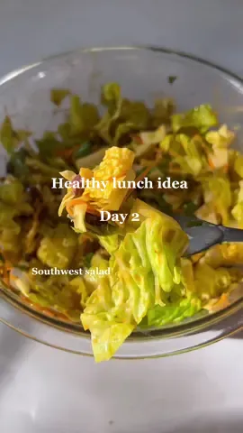 Reposting becuase the text in my other one got cut off 🫠 full recipe will be up in a little bit! #ReTokforNature #southwestsalads #spicysaladrecipe #healthylunchideas 