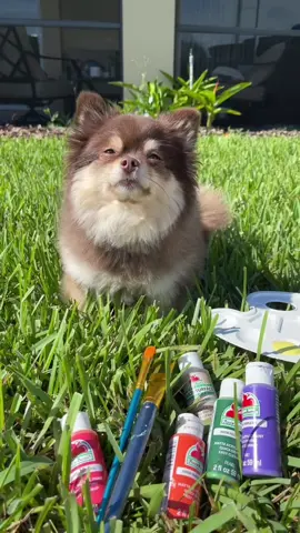 Do you think mine or Suki’s painting was better😱❤️ #painting #competition #dogsoftiktok 