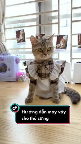 May váy bánh bèo cho thú cưng #catsoftiktok #catlover #trending #foryou 