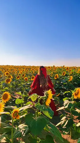 🥰#sunflower #rewritethestars #pinay #fypage #fyp #foryou #followme #nature #sun #sunflowerfield #sunflower #queenvibes #OOTD #tiktokusa #cuteoutfit 
