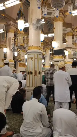 الصلاة والسلام عليك يا حبيبي يا رسول الله #صلوا_على_رسول_الله #المدينة_المنورة#الشيخ_جابر_بغدادى 