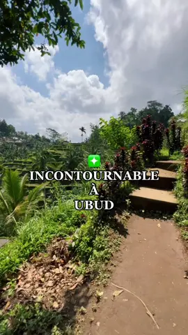 Si toi aussi tu passes par #ubud ! ❇️🧘‍♀️🌴☀️ #bali #balilover #balilife #foryou #swing #swingubud #riziere #riceterrace  