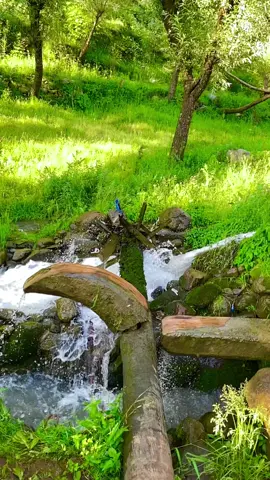 کشمیرکی خوبصورتی #foryou#leepavalley #standwithkashmir #foryoupage #trending @aneesadventures 