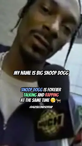 BOW WOW 😎 #snoopdogg #westcoast #hiphop #rap #viral #fyp (edit via @tupacking_) 
