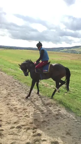 Few bottles were lost in the making of this video #fyp #racing #horsesoftiktok #racehorsesoftiktok