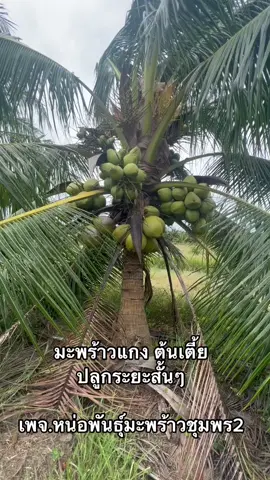 คืนทุนเร็ว
