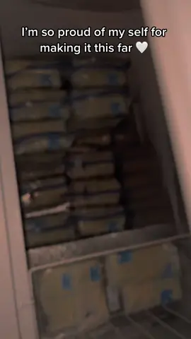 Over 1000+ ounce 1 month postpartum 💙 Im so happy i didn’t give up in that first week like i wanted to 🥺🥹🐮 #brestfeeding #brestfeedingmama #oversupplier #breastmilk #milkstash #deepfreezer #MomsofTikTok 