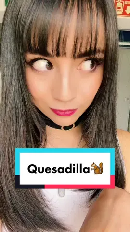 #Responder a @salazarnasir Las quesadillas van con queso y tú vas conmigo bebé🐿#ardilla #quesadilla #queso #tortilla #geografia ##futuro #tuyyo #siempre 