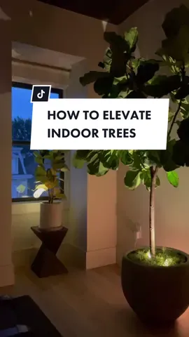 #homedecor #hometips #decortips #plants 