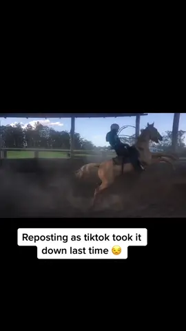 🤠🤠🤠🤠🤠🤠🤠🤠🤠🤠🤠🤠🤠🤠 #equestrian #showhorse #alyssawalsh13 #rodeo #bronco #horsesoftiktok #horses 