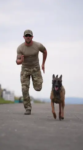 K9 & Military Fitness with @OneTigris K9 Aires Harness #k9 #tacticool #Fitness #workout #dogsoftiktok #k9team #fyp 