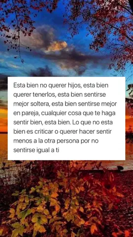 Esta bien no querer #hijos esta bien querer tenerlos, lo que no está bien es criticar a otra persona por no sentirse igual a ti. 👏🏻 #nflores13 #frases #sad #reflexion #fyp #aesthetic #parati #xy