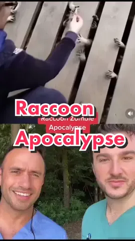 @dr.ljmaxfield #raccoon #reaction #zombies