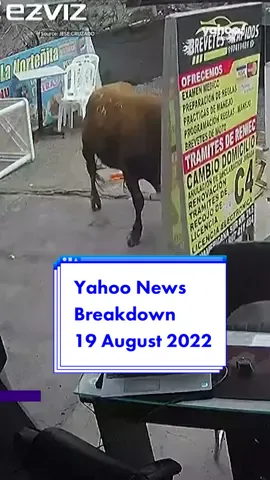 Here’s your #newsbreakdown for Friday 19 August 2022. #yahoonews #yahooaustralia #peru #runawaybull #bull #mars #lifeonmars #buildingamartianhouse #corsica #frenchairport #airport #batterycageeggs #batteryhens #australia #alabamabeaches #alabama #sharksoftiktok #shark #sharksighting #hammerheadshark 
