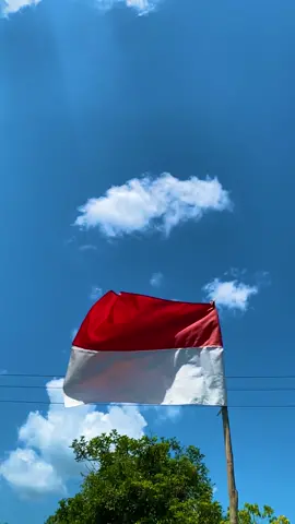 Berkibarlah benderaku #bendera #indonesia 