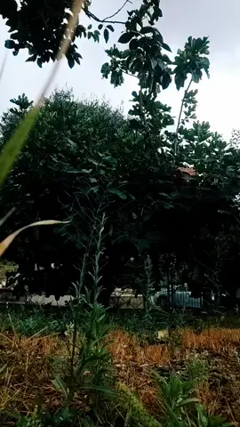 #perte