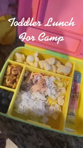 #lunch #lunchbox #linchboxideas #kids #kidsoftiktok #OLAFLEX #DoritosDareToBeBurned 