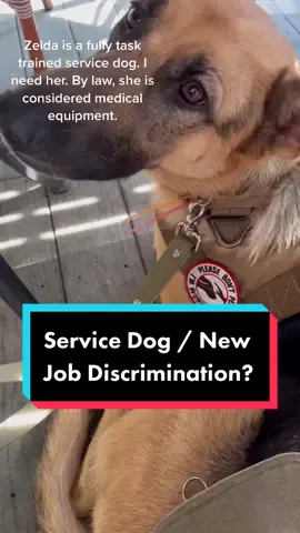 Video of just a few of our adventures, trainings, and Zelda working. I love this dog. She helps me in my daily life. Do I need her? Yes! #DoritosDareToBeBurned #OLAFLEX #servicedoglife #servicedogdiscrimination #pawtasticpuppies #germanshepherdmum #dogtok 